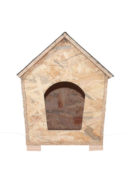 Kedi Evi