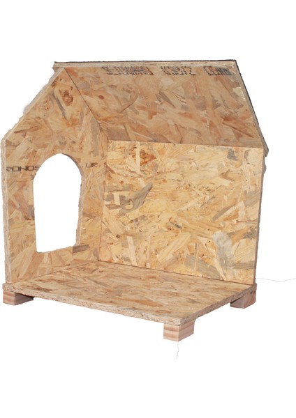 Kedi Evi