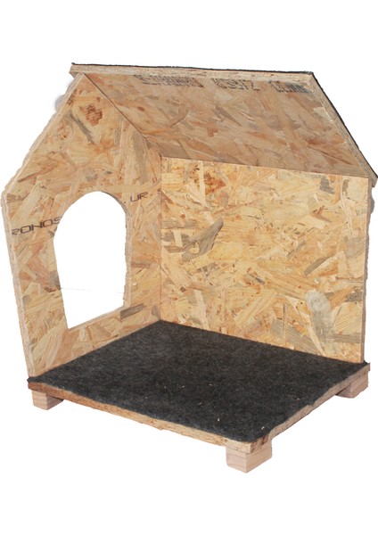 Kedi Evi