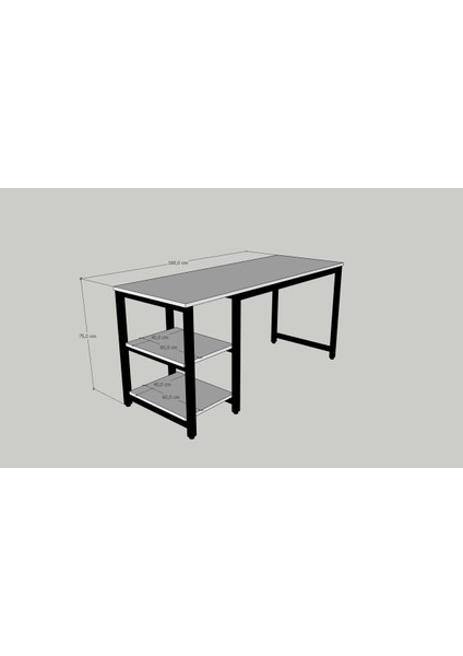 Çalışma Masası Kitaplıklı Raflı Büyük Boy 60x160