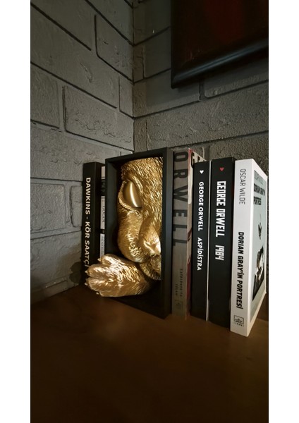 Kedi Kitap Tutucu, Kitaplık Dekoru