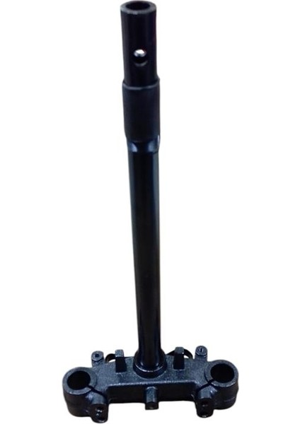 Ön Maşa Blueberry fiyatları