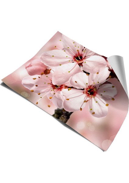 Buzdolabı ve Bulaşık Makinesi Kapak Sticker Kendinden Yapışkanlı Folyo Kaplama Pembe Çiçek