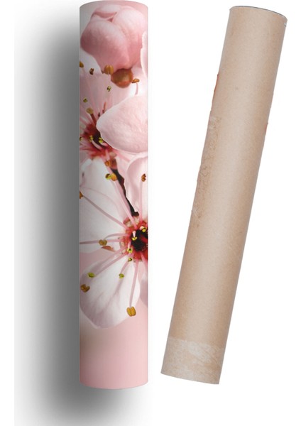 Buzdolabı ve Bulaşık Makinesi Kapak Sticker Kendinden Yapışkanlı Folyo Kaplama Pembe Çiçek