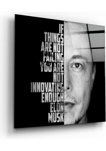 Elon Musk Designers Collection Cam Duvar Tablosu