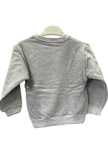 Baskılı Şardonlu Sweat Erkek Çocuk Sweatshirt fiyatları