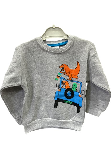 Baskılı Şardonlu Sweat Erkek Çocuk Sweatshirt (Kalıbı Dar) fiyatları