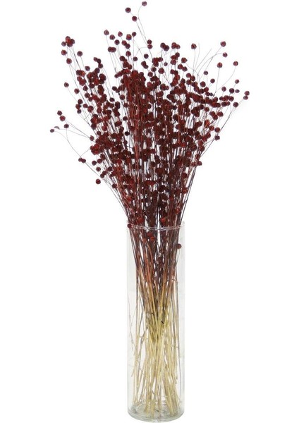 Kurutulmuş Luna (Keten) Demeti Bordo
