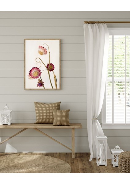 3 Adet A4 Çerçeve, Belge Çerçevesi, Diploma, Sertifika, Fotoğraf Çerçevesi, Resim Çerçevesi, 21 x 30 fırsatları