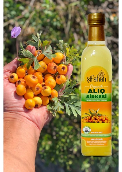 Alıç Sirkesi - 500 ml Doğal Fermente Alıç Sirkesi indirimleri