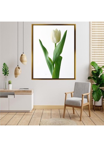 Altın Çerçeveli Tablo AS122