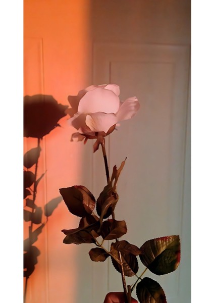 Harikabirev|soft Pembe Tonlu Renk Çiçekli Kombini |çerçeveli Temperli Cam Tablo 3lü Yatay fiyatları