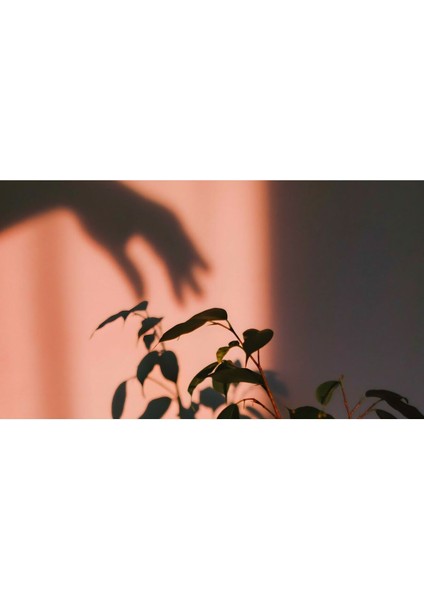 Harikabirev|soft Pembe Tonlu Renk Çiçekli Kombini |çerçeveli Temperli Cam Tablo 3lü Yatay modelleri