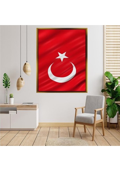 Altın Çerçeveli Tablo AS3911
