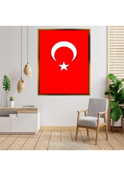 Altın Çerçeveli Tablo RS2163