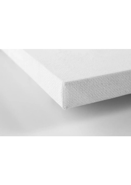 Altın Çerçeveli Tablo RS5632