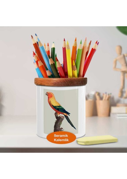 Ağaç Dalında Renkli Papağan Ahşaplı Seramik Kalemlik - 538776654