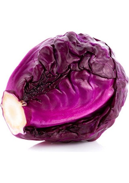 Lahana Kırmızı X12 Paket