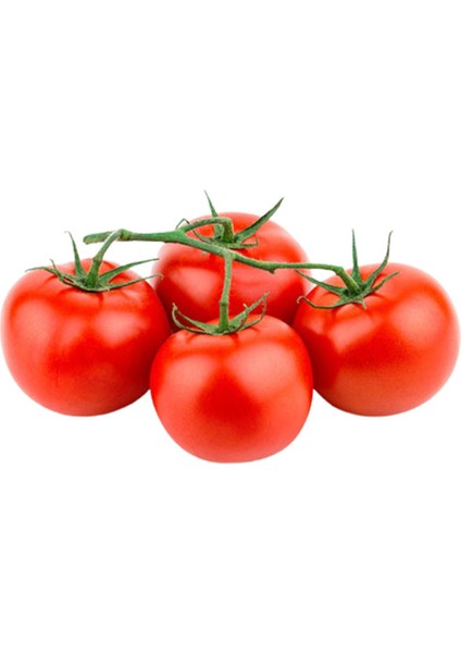 Domates Salkım X8 Paket