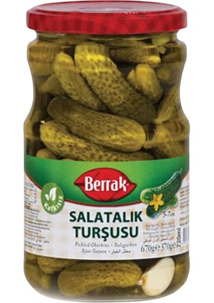 Salatalık No:1 Turşu (670 G) X4 Paket