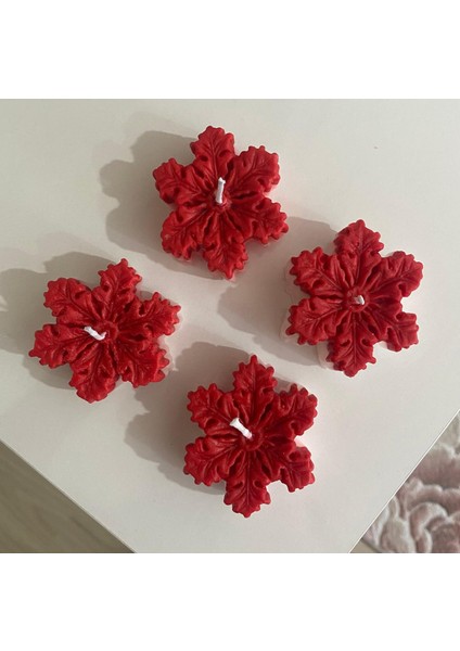 Kartanesi Kokulu Mum Hediyelik Doğum Günü Magnet Dekor