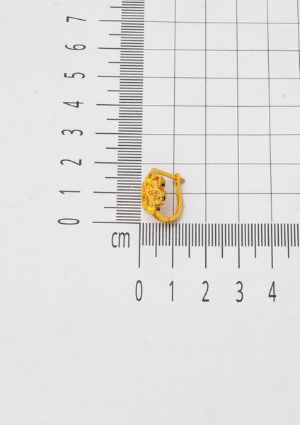 Papatya Klipsli 22 Ayar Altın Bayan Küpe fırsatları