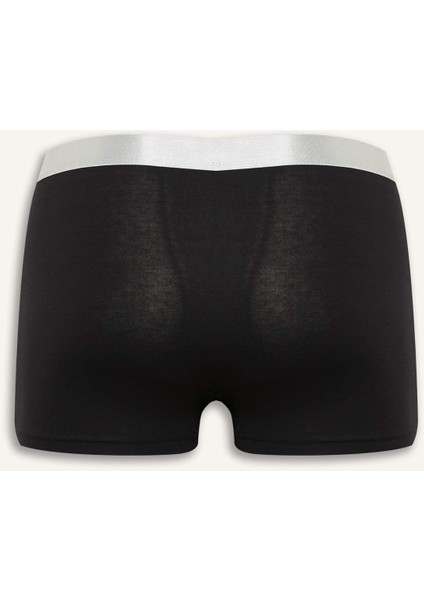 Regular Fit 3'lü Boxer E2915AX25SP