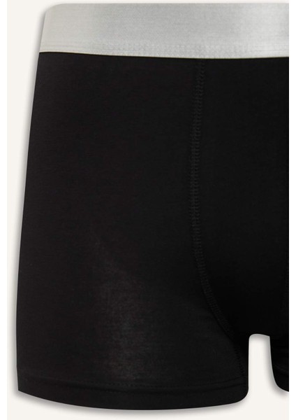 Regular Fit 3'lü Boxer E2915AX25SP