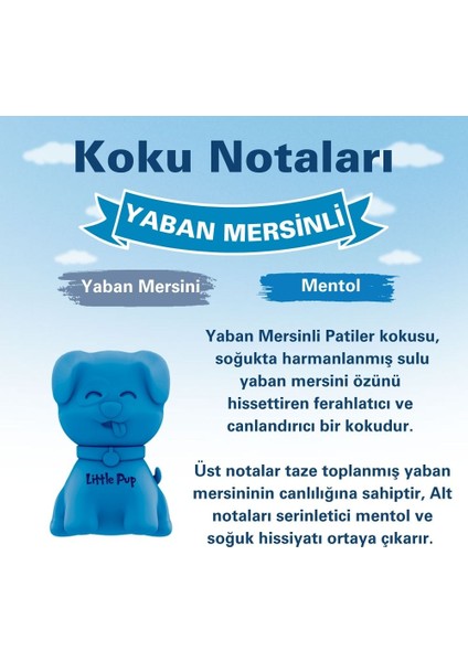 Little Pup Yaban Mersini Araç Kokusu (Blueberry) -45 Gün-Oto Kokusu Kalıcı Klima Parfüm modelleri