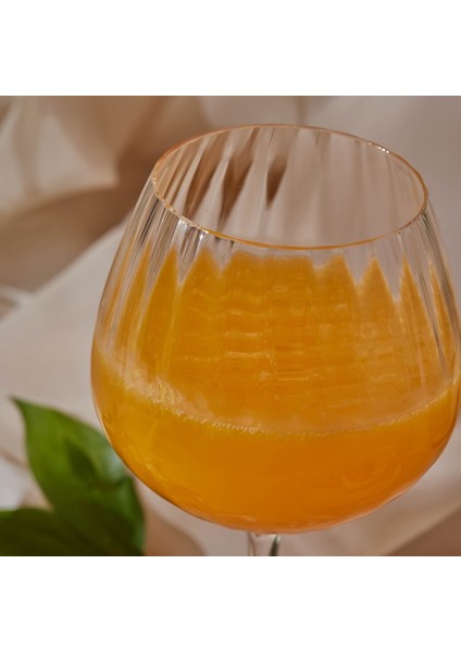 Helious Kadeh Bardağı 550 ml modelleri