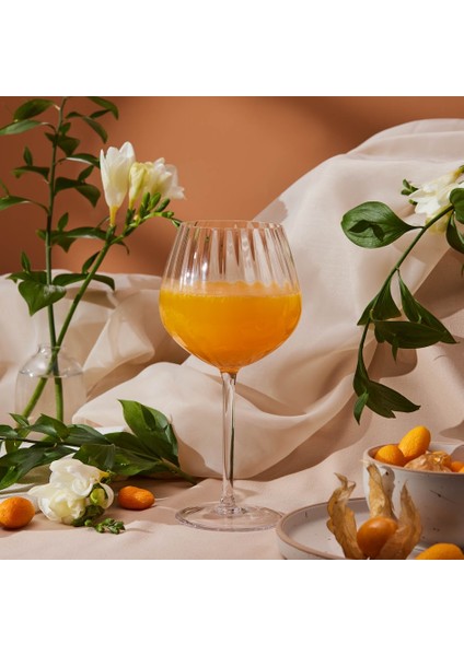 Helious Kadeh Bardağı 550 ml fırsatları