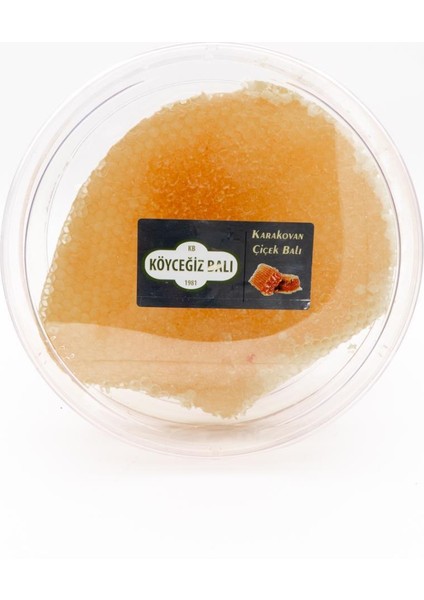 Kb Köyceğiz Balı Karakovan Doğal Çiçek Balı 600 G fiyatları