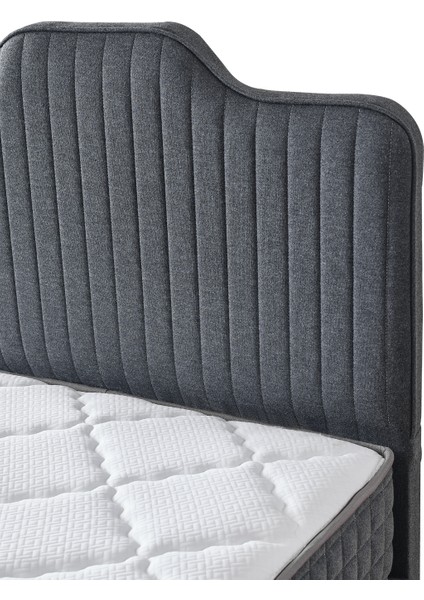 AE-7818 Menekşe 3'lü Set (Yatak Baza Başlık) Tek Kişilik