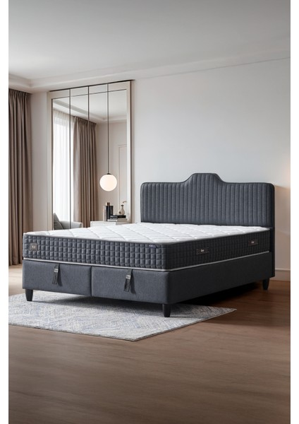 AE-7818 Menekşe 3'lü Set (Yatak Baza Başlık) Çift Kişilik