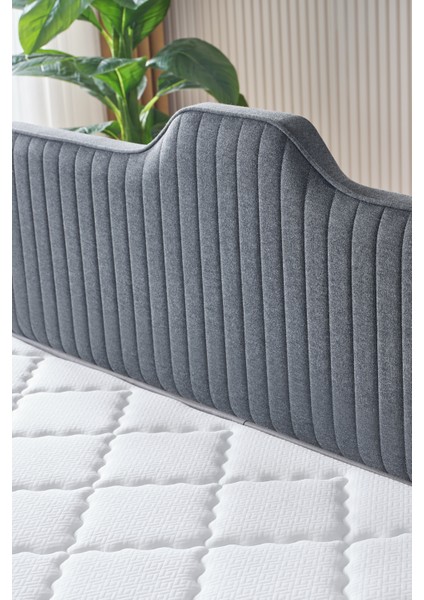 AE-7818 Menekşe 3'lü Set (Yatak Baza Başlık) Çift Kişilik