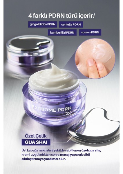 Exosome Pdrn Yoğun Elastikiyet ve Cilt Dolgunlaştırıcı Maxclinic Krem + Gua Sha modelleri