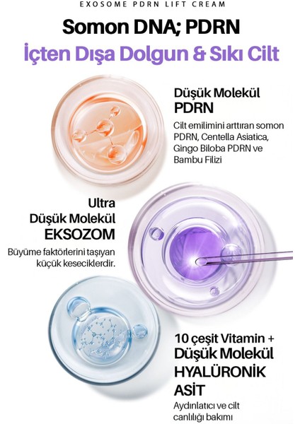 Exosome Pdrn Yoğun Elastikiyet ve Cilt Dolgunlaştırıcı Maxclinic Krem + Gua Sha indirimleri