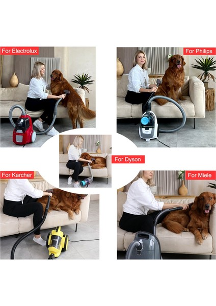 DC44 DC30 DC58 V6 V7 V10 V11 A Için Pet Saç Fırçası Damat Aracı (Yurt Dışından) fırsatları