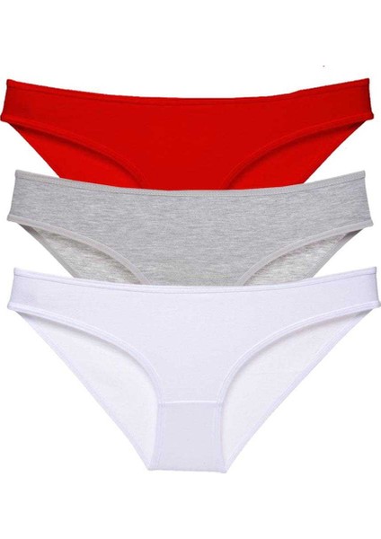 3 Adet Süper Eko Set Likralı Kadın Slip Külot 542