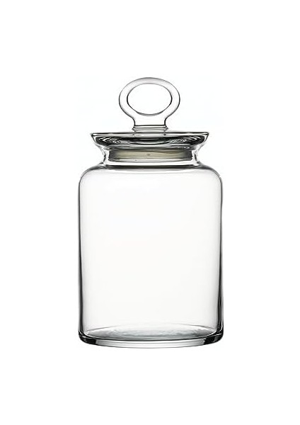 KITCHEN CAM KAPAKLI KAVANOZ fiyatları