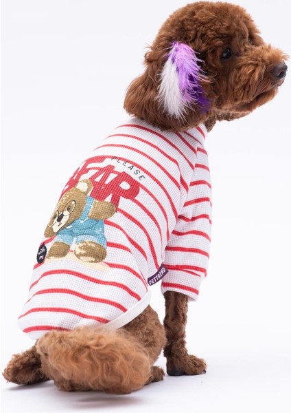 Kırmızı Bear With Me Baskılı Triko Sweat Kedi Köpek Kıyafeti