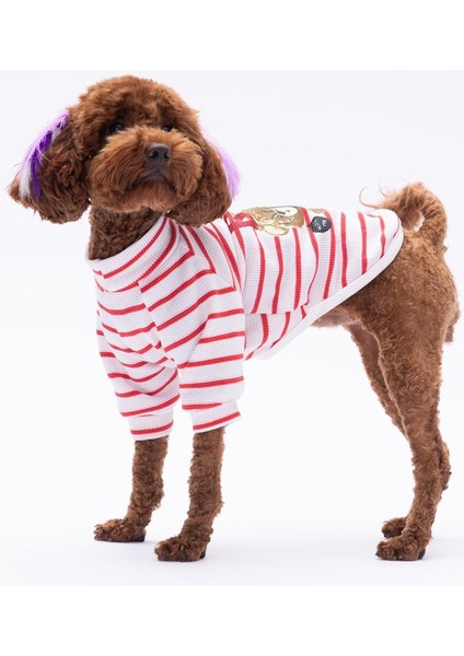 Kırmızı Bear With Me Baskılı Triko Sweat Kedi Köpek Kıyafeti fırsatları