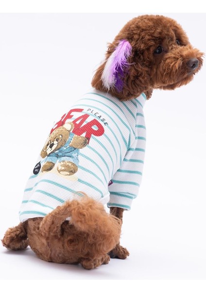 Yeşil Bear With Me Baskılı Triko Sweat Kedi Köpek Kıyafeti