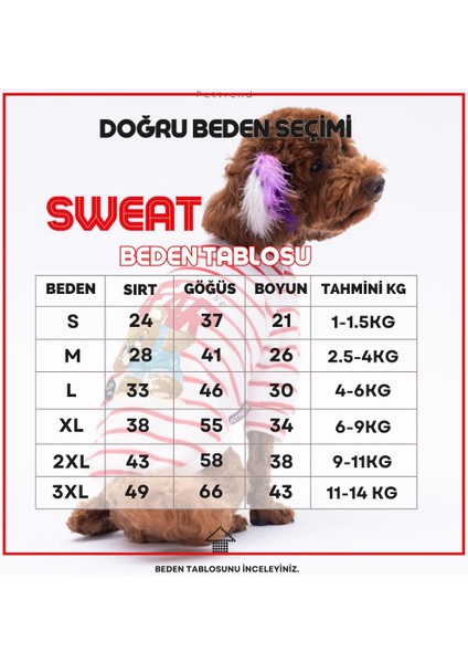 Yeşil Bear With Me Baskılı Triko Sweat Kedi Köpek Kıyafeti fiyatları