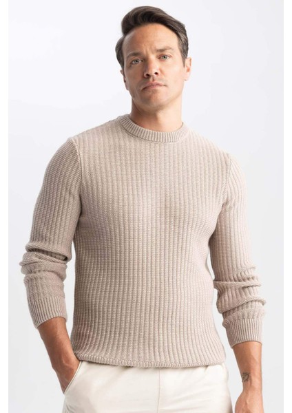 Standart Fit Normal Kesim Bisiklet Yaka Jakarlı Triko Kazak A5234AX23WN