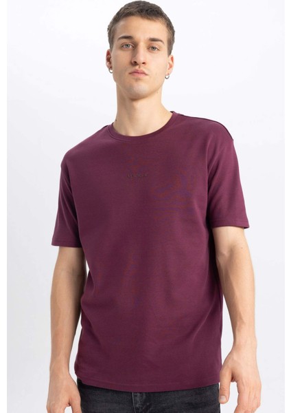 Regular Fit Bisiklet Yaka Baskılı Kısa Kollu Ağır Kumaş Tişört B4291AX24SP