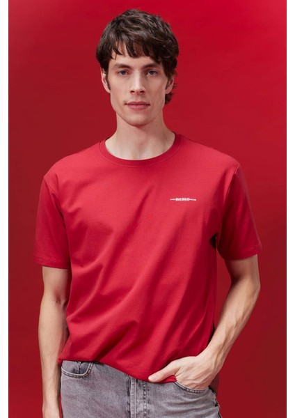 Regular Fit Bisiklet Yaka Baskılı Kısa Kollu Tişört B5077AX24SP