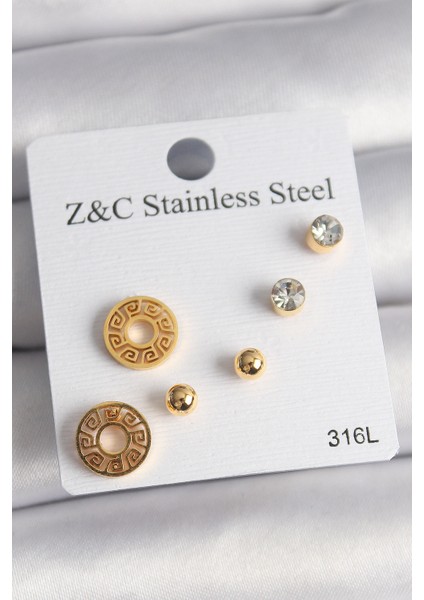 316L Çelik Gold Renk Zirkon Taşı Labirent Model Kadın Küpe Seti