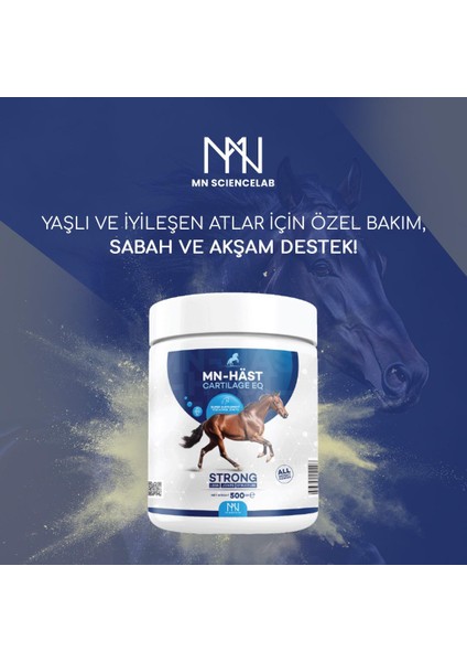 Mn-Hast Cartılage Eq