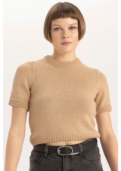 Fitted Bisiklet Yaka Kısa Kollu Triko Kazak C2056AX23CW